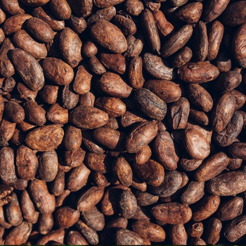 Cocoa Absolute (Theobroma cacao) France - 3_75ml