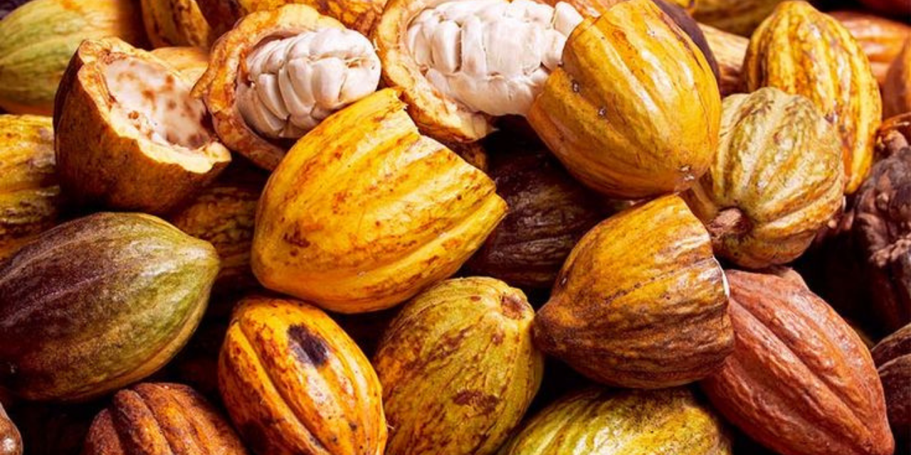 Untitled design - 2025-11-13T193453.319